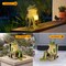 FOXMIS Miniature Frog Garden Statue Gifts Fall Halloween Decorations Fairy Garden Accessories Outdoor Lights Solar Garden Frog Decor Art Housewarming Gift for Patio,Yard,Lawn Ornament,3.89"x2.36"x3.93